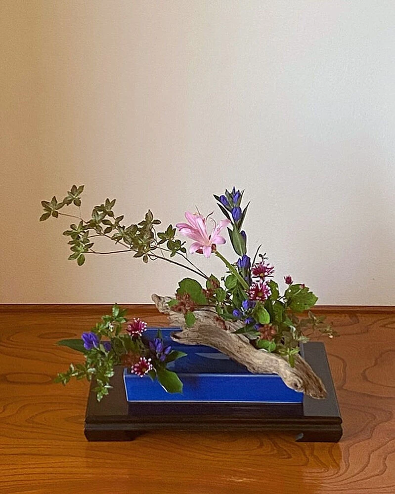ブログ画像