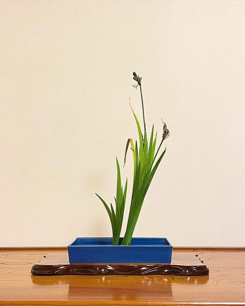 ブログ画像