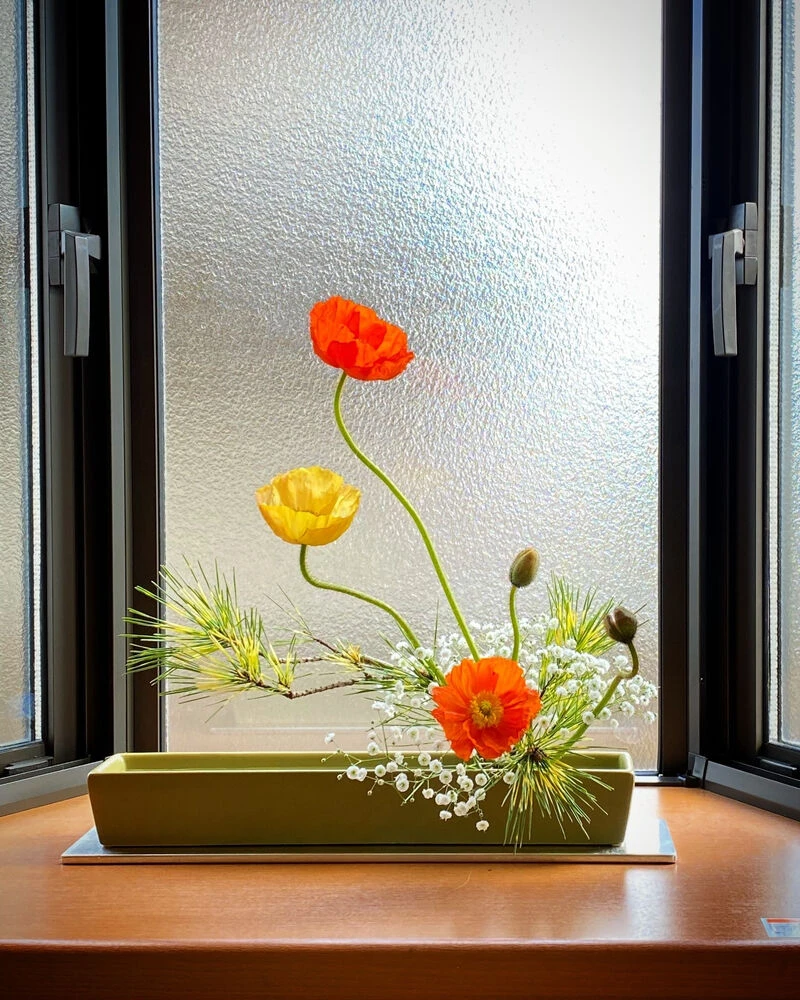 ブログ画像