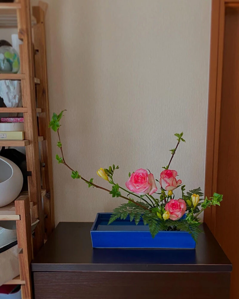 ブログ画像