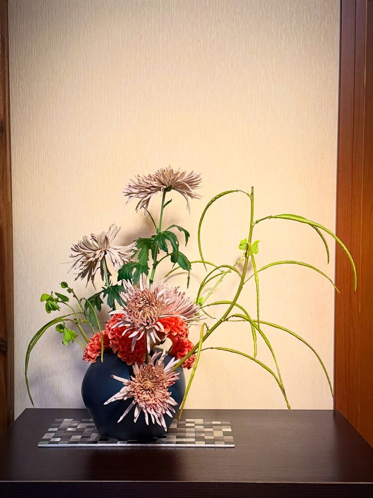 ブログ画像
