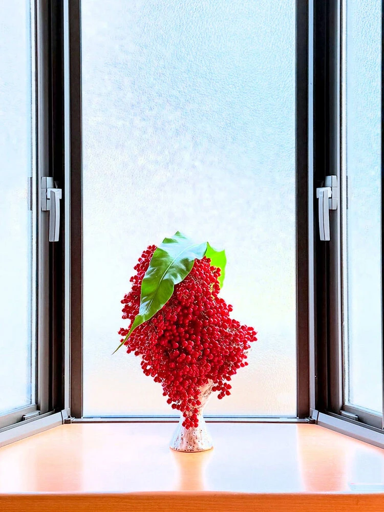 ブログ画像