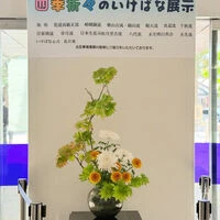 ブログ画像