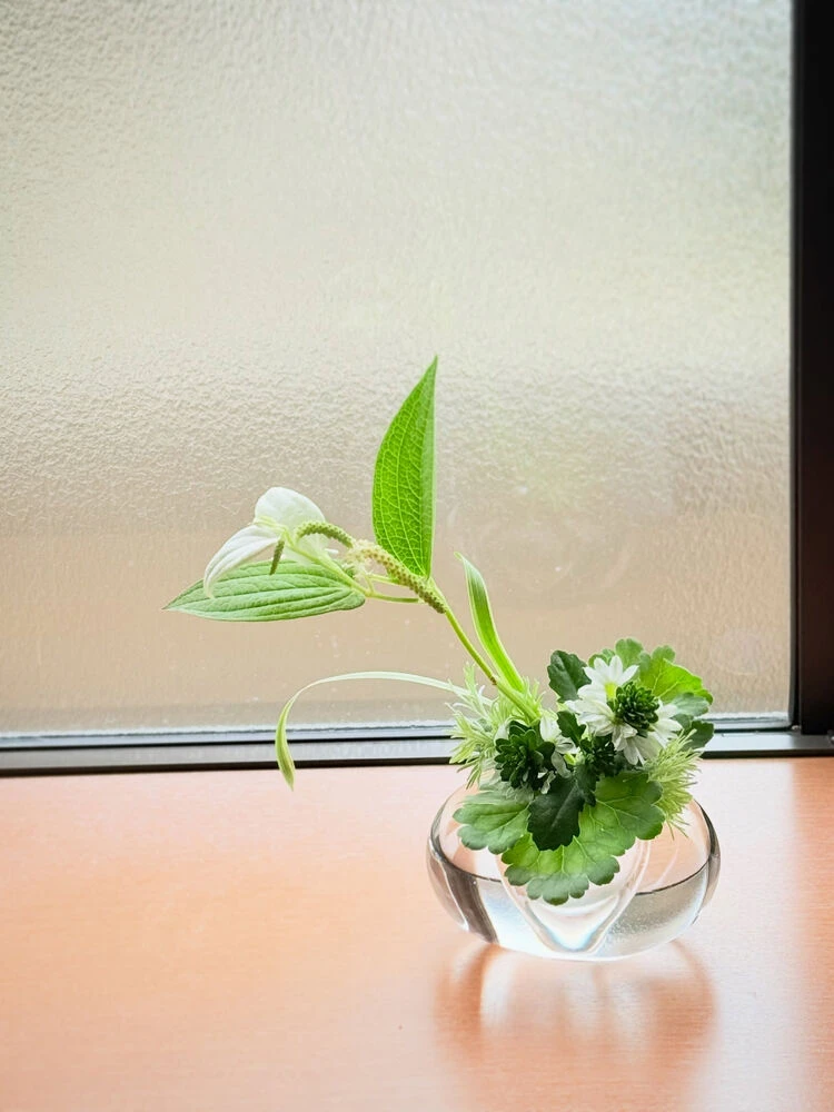 ブログ画像