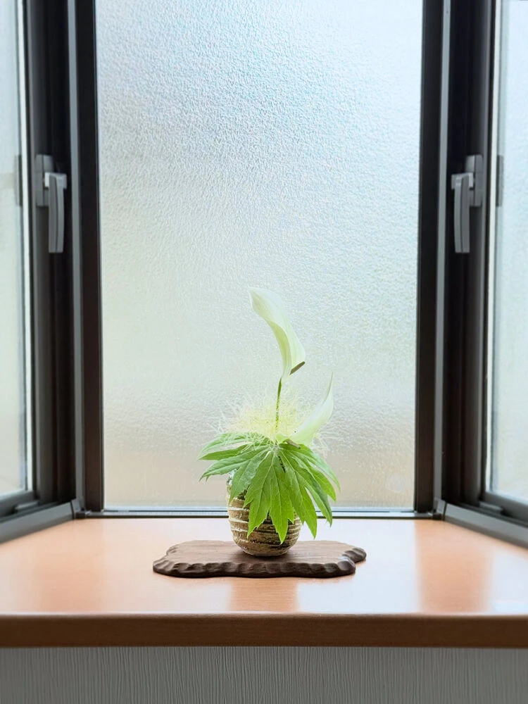 ブログ画像