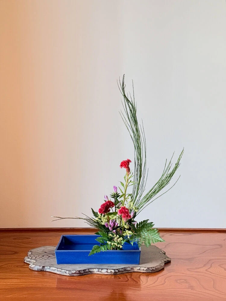 ブログ画像