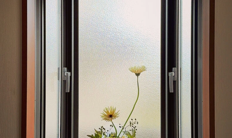画像5890：.