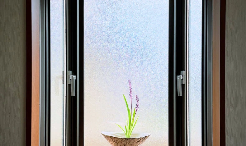 画像5923：.