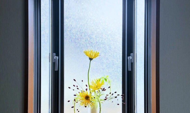 画像5950：.