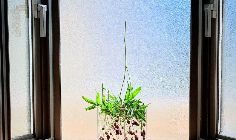 画像5952：.