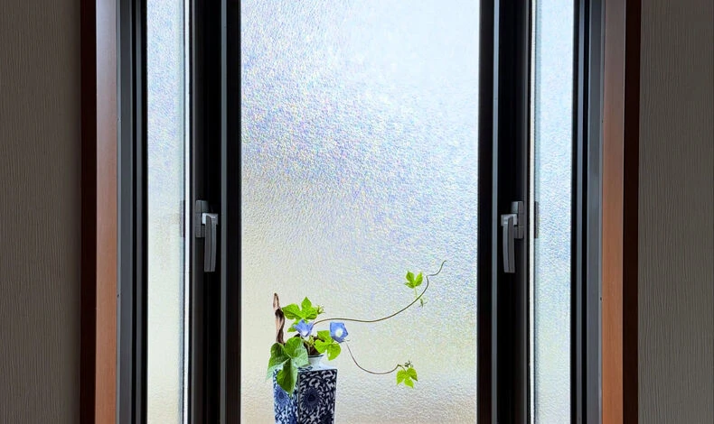 画像5955：.
