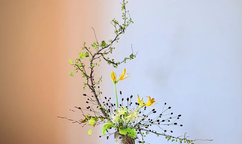 画像5957：.