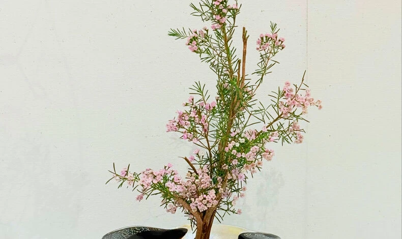 画像6063：.